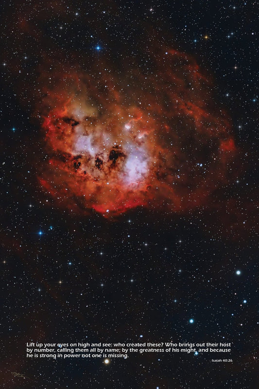 IC410 Tadpole Nebula 24”x36” Poster - Where God Guides